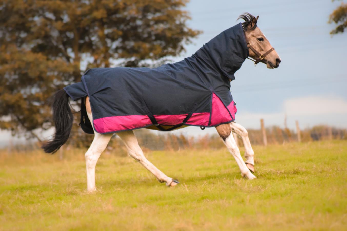 600D Mediumweight Waterproof Horse Turnout Rug 50g Fill Combo Full Neck Navy/Raspberry
