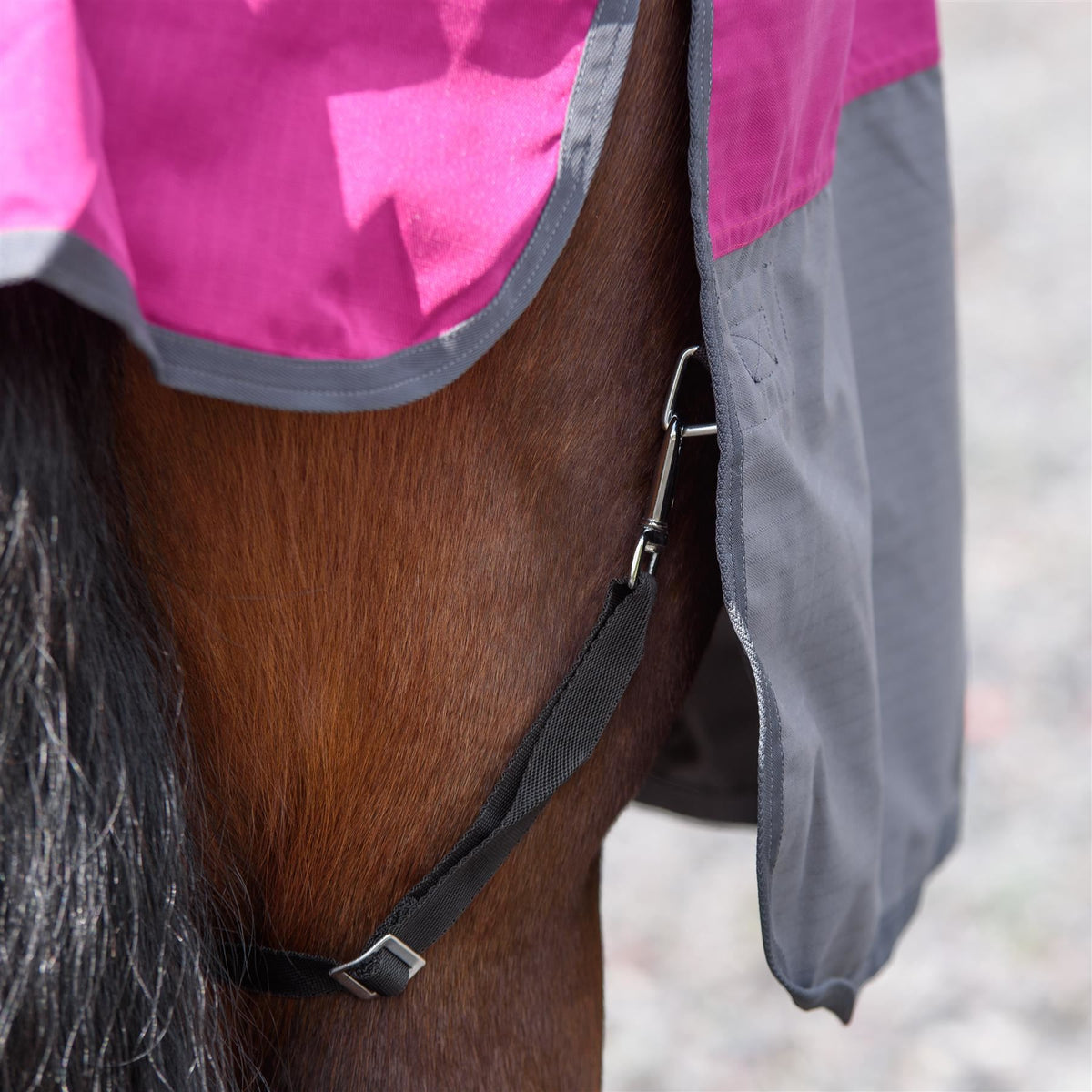 600D Mediumweight Waterproof Horse Turnout Rug 100g Fill Standard Neck Raspberry/Grey