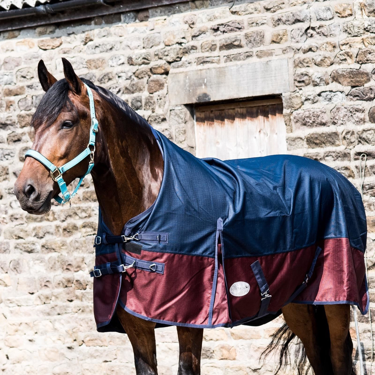 600D Lightweight Waterproof Horse Turnout Rug 0g No Fill Half Neck Navy/Maroon