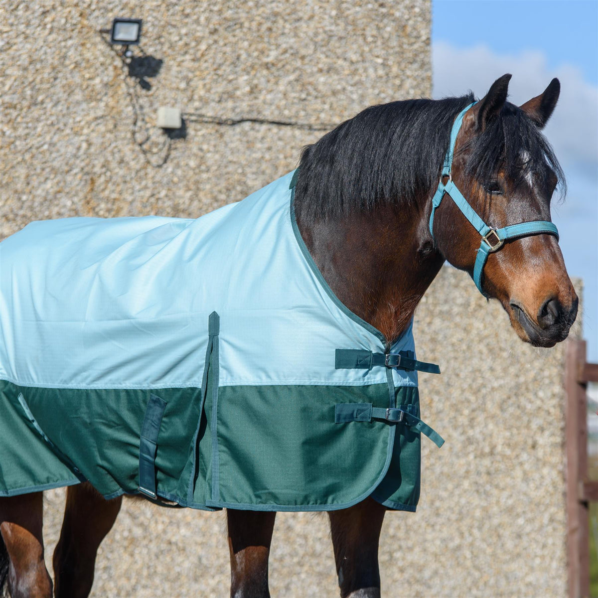 600D Lightweight Waterproof Horse Turnout Rug 0g No Fill Regular Neck Pista Aqua/Bottle Green