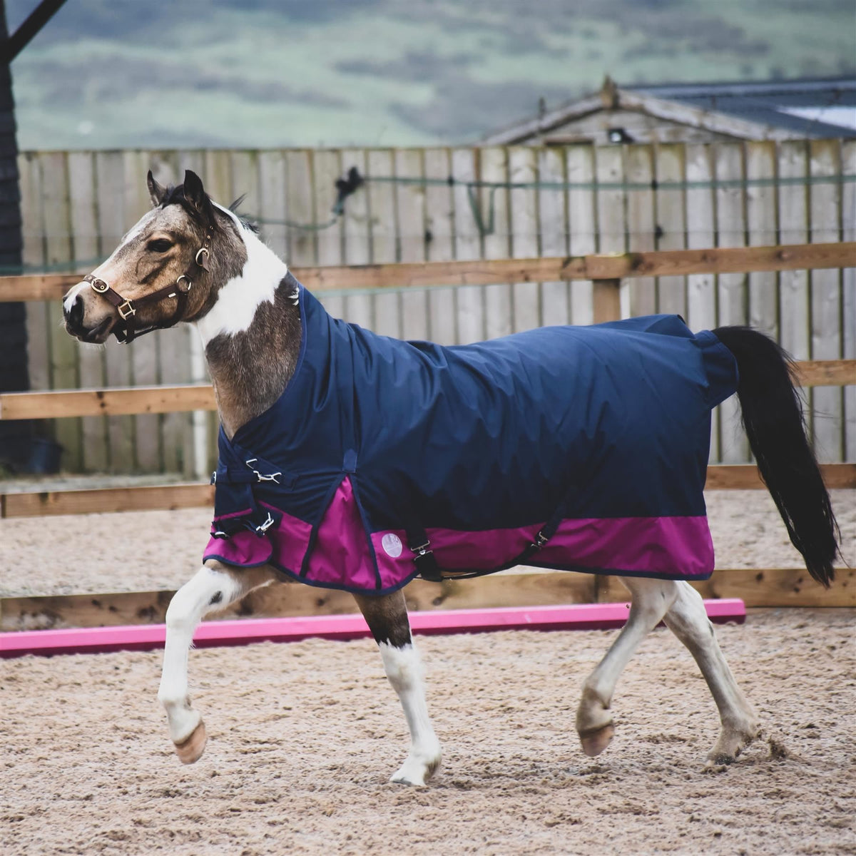 1200D Mediumweight Waterproof Horse Turnout Rug 200g Fill Half Neck Navy/Raspberry