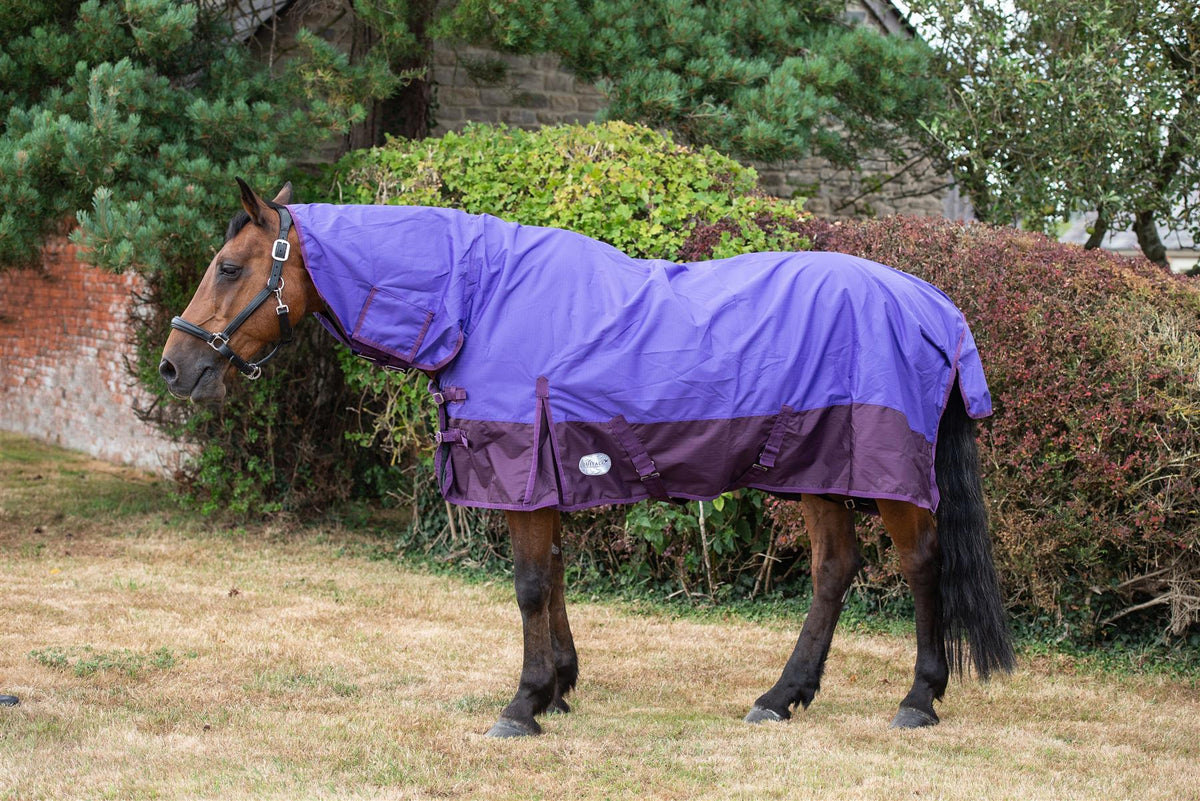 600D Mediumweight Waterproof Horse Turnout Rug 100g Fill Combo Full Neck Purple/Plum