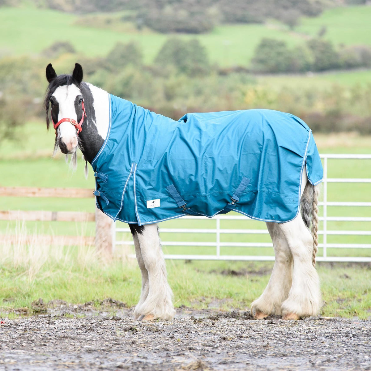600D Mediumweight Waterproof Horse Turnout Rug 50g Fill Half Neck Turquoise