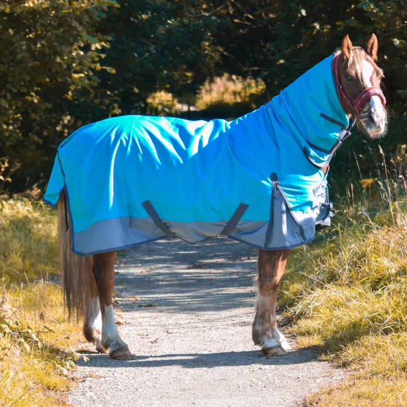 600D Mediumweight Waterproof Horse Turnout Rug 100g Fill Combo Full Neck Aqua/Dark Grey