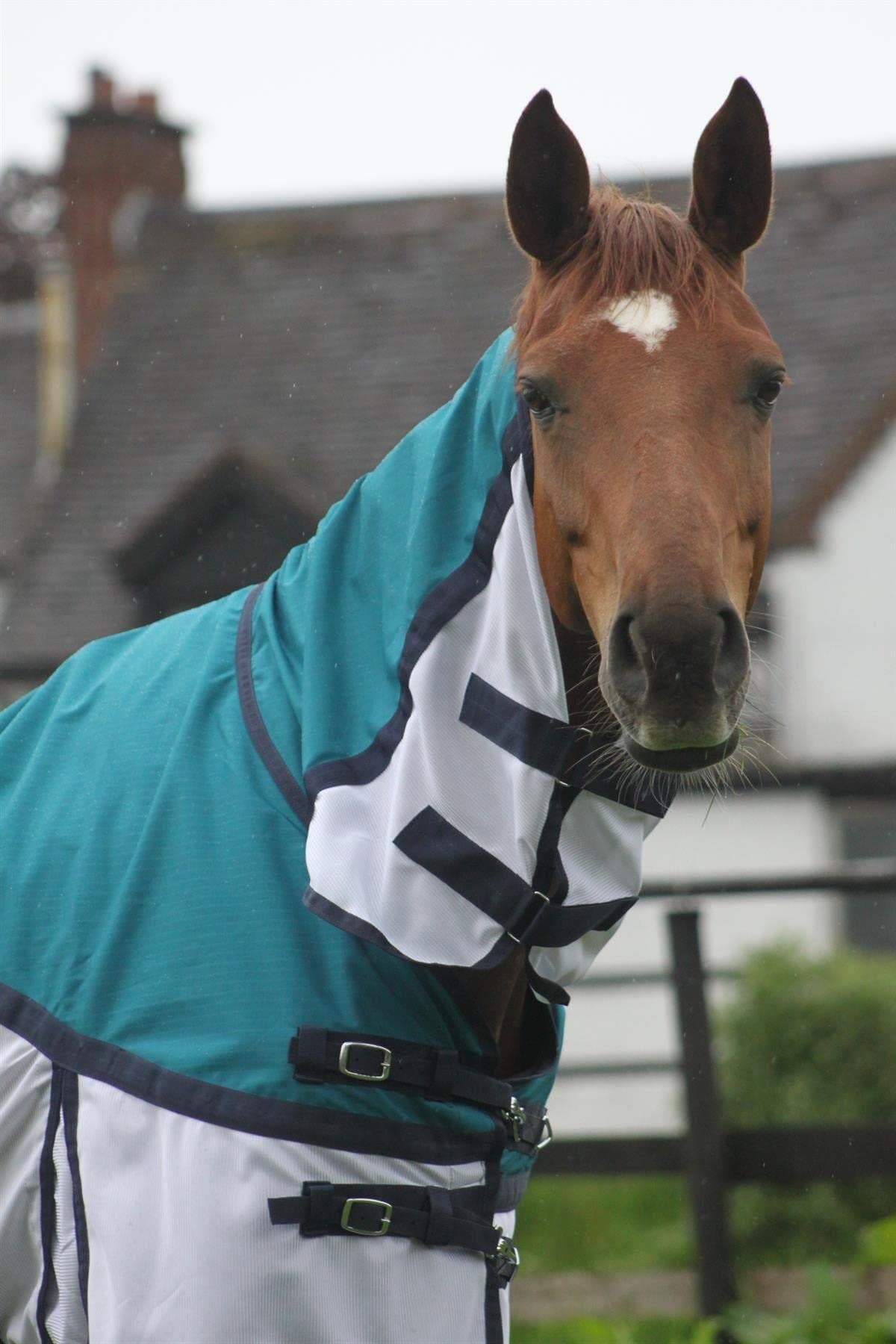 600D 2 in 1 Lightweight Waterproof Fly Turnout Mesh Horse Rug Fixed Neck Petrol/White