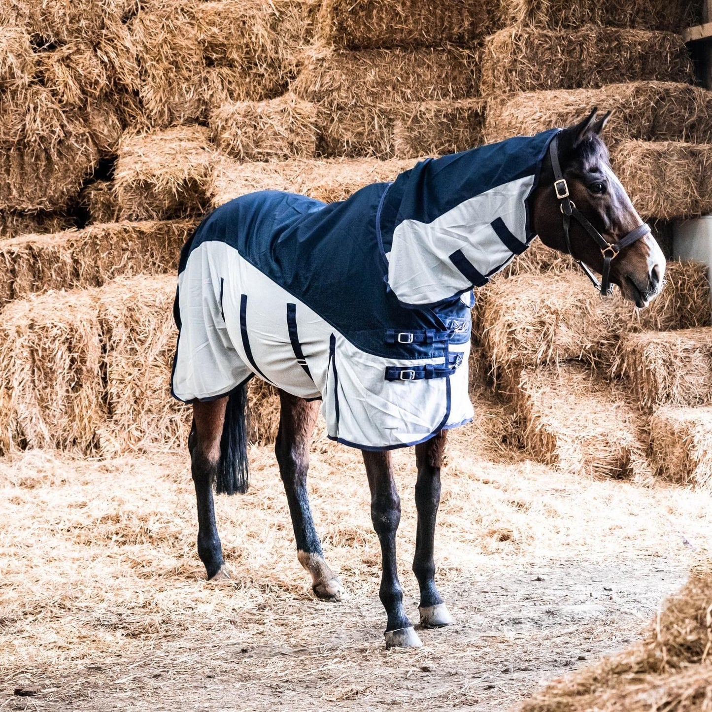 600D 2 in 1 Lightweight Waterproof Fly Turnout Mesh Horse Rug Fixed Neck Navy/Silver