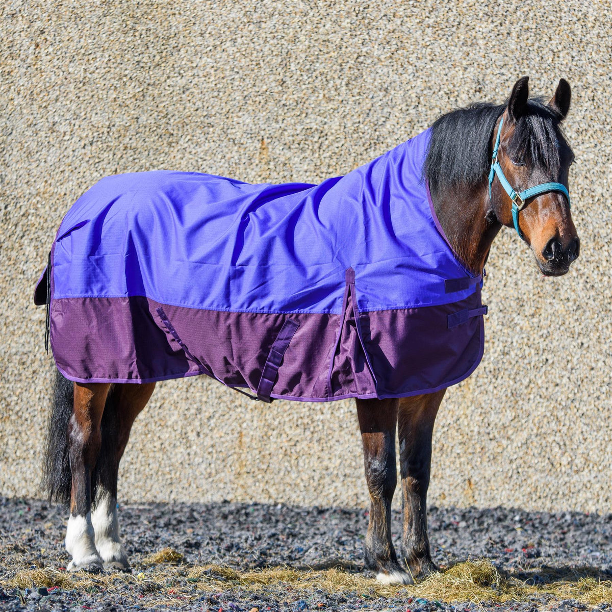 600D Lightweight Waterproof Horse Turnout Rug 0g No Fill Half Neck Purple/Plum