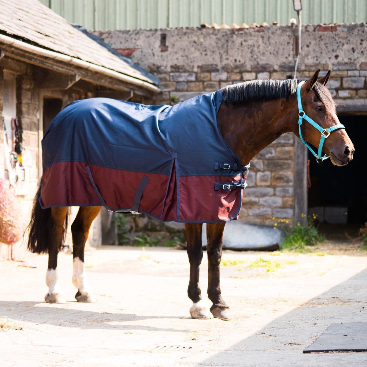 1200D Lightweight Waterproof Horse Turnout Rug 0g No Fill Half Neck Navy/Burgundy