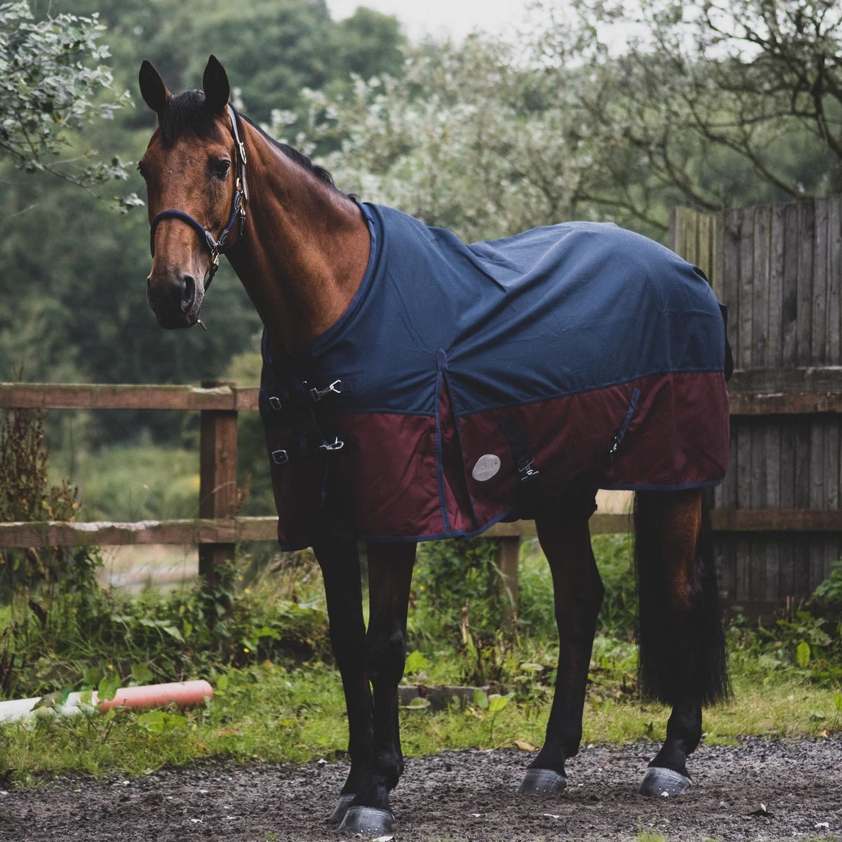 600D Mediumweight Waterproof Horse Turnout Rug 50g Fill Half Neck Royal Blue