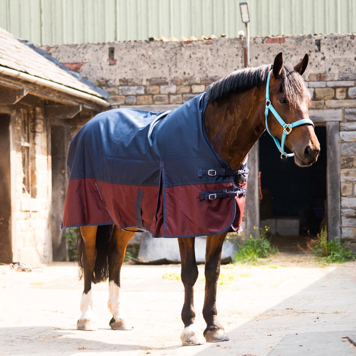 600D Lightweight Waterproof Horse Turnout Rug 0g No Fill Half Neck Navy/Maroon