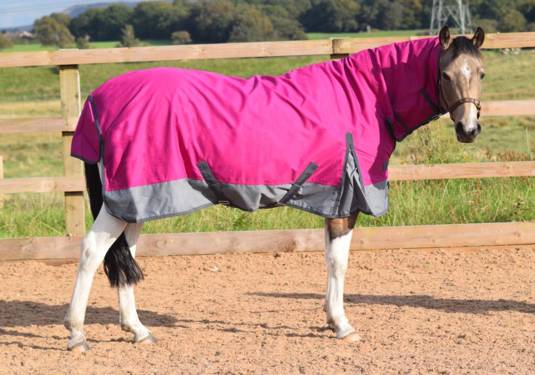 600D Mediumweight Waterproof Horse Turnout Rug 50g Fill Combo Full Neck Raspberry/Dark Grey
