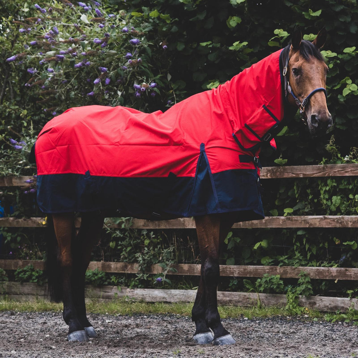 1200D Mediumweight Waterproof Horse Turnout Rug 50g Fill Combo Full Neck Red/Navy