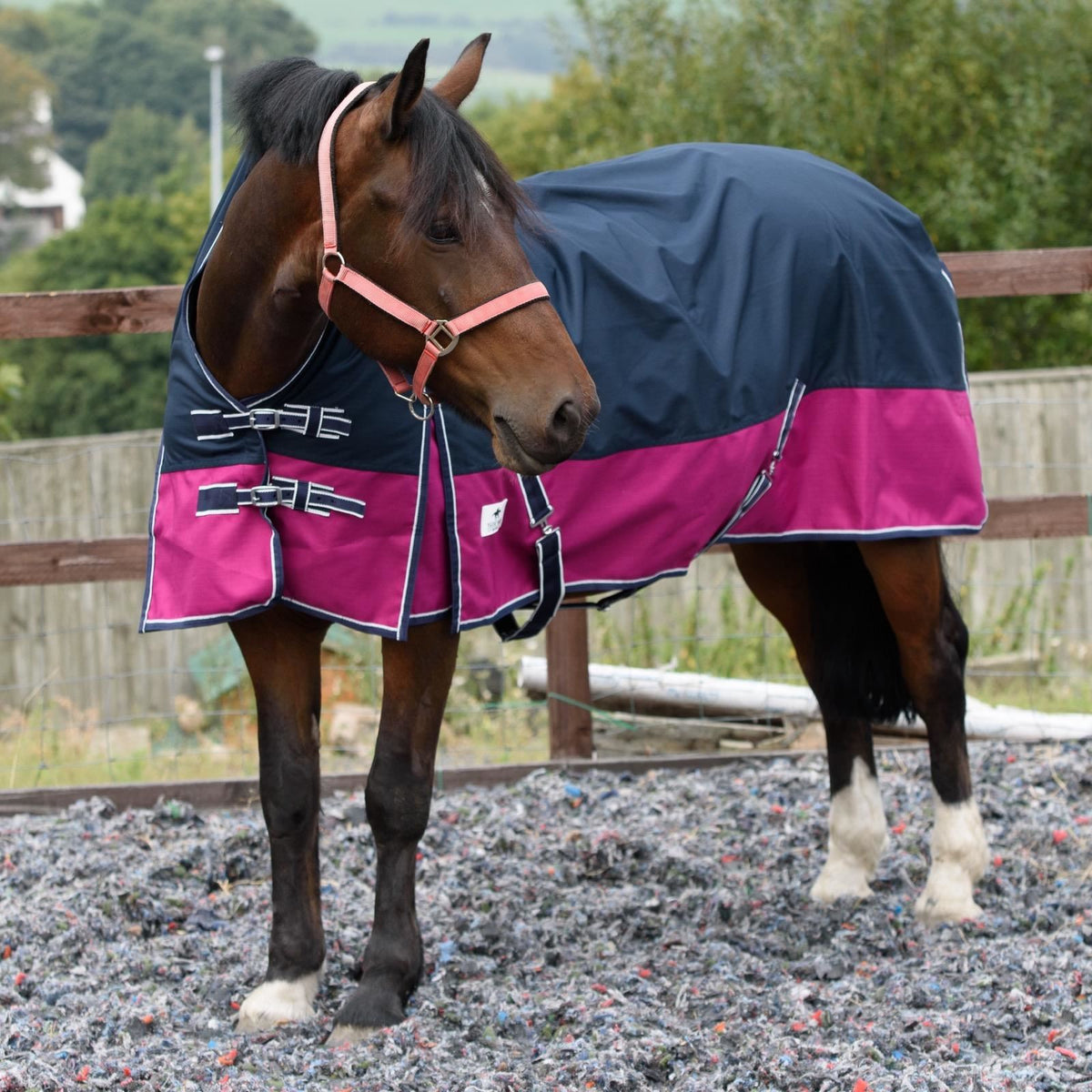 1200D Mediumweight Waterproof Horse Turnout Rug 100g Fill Half Neck Navy/Raspberry