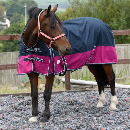 1200D Mediumweight Waterproof Horse Turnout Rug 100g Fill Half Neck Navy/Raspberry