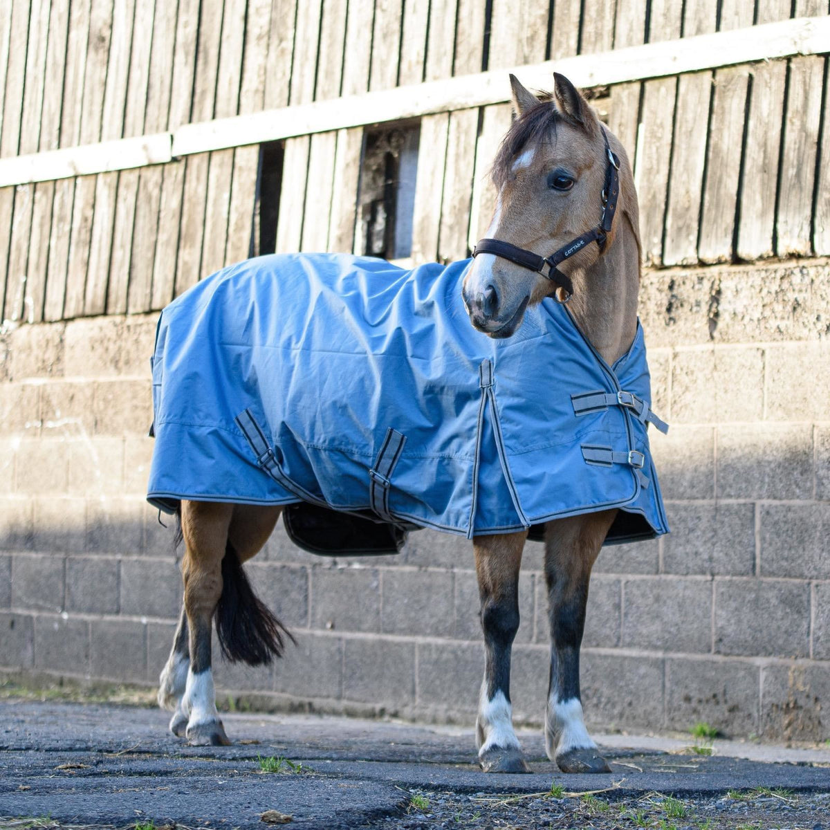 600D Lightweight Waterproof Horse Turnout Rug 0g No Fill Half Neck Dark Denim