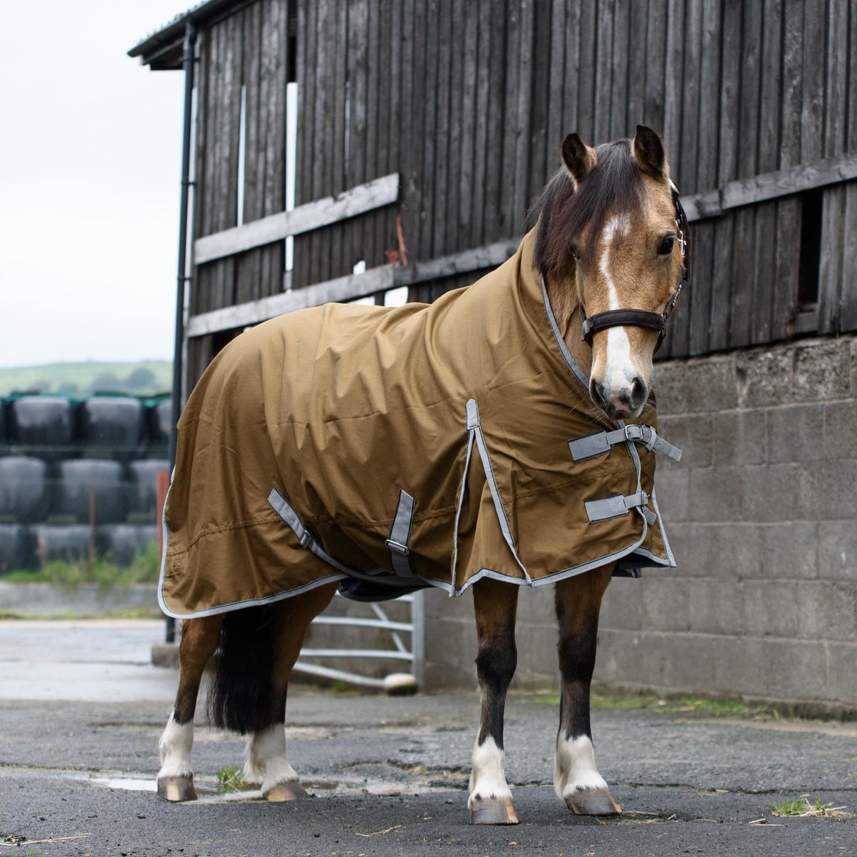 600D Lightweight Waterproof Horse Turnout Rug 0g No Fill Half Neck Dark Brown