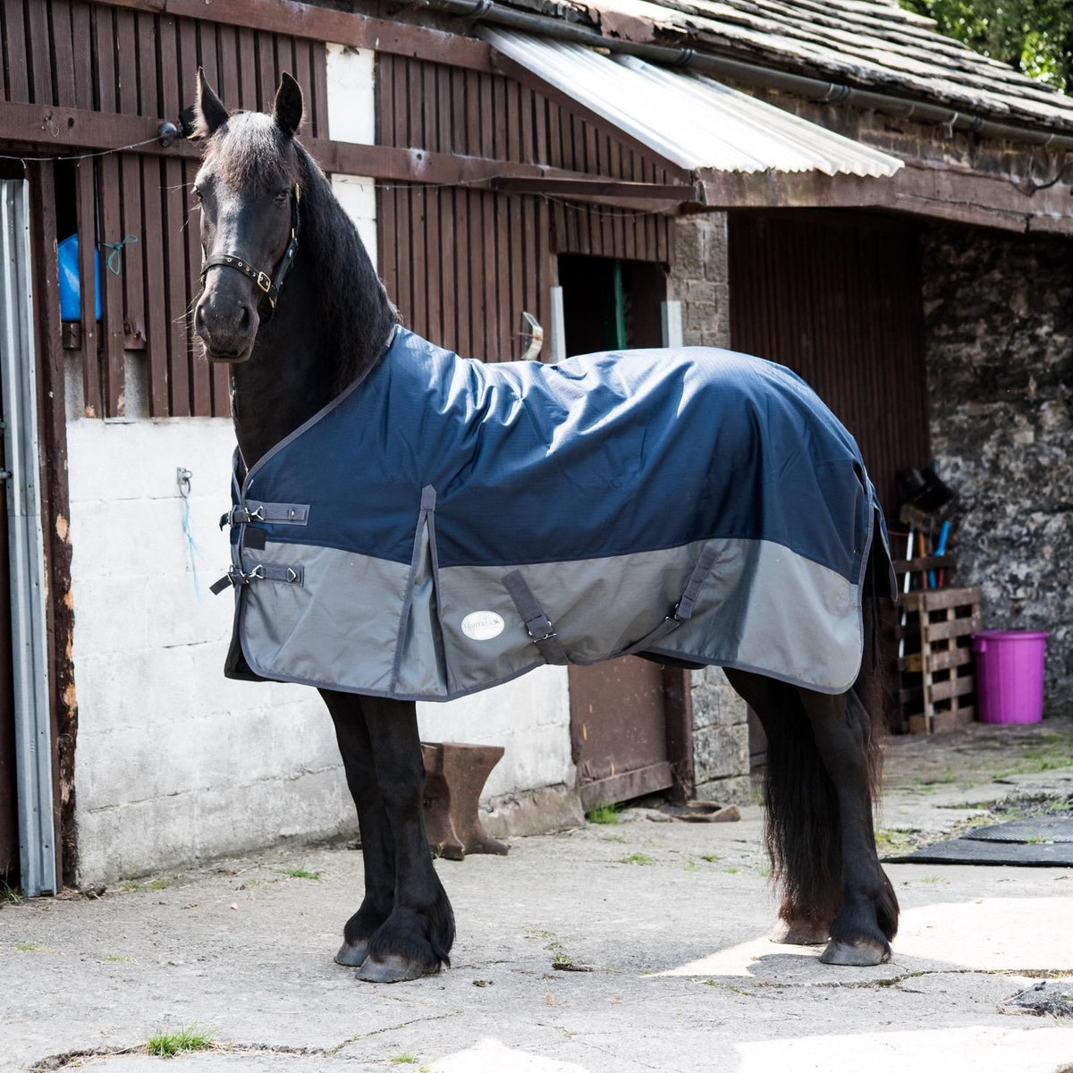 1200D Mediumweight Waterproof Horse Turnout Rug 100g Fill Standard Neck Navy/Grey