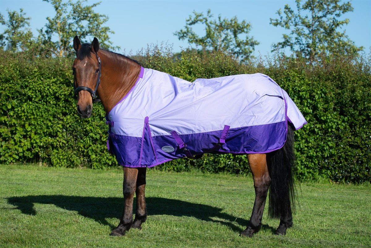 600D Mediumweight Waterproof Horse Turnout Rug 50g Fill Regular Neck Lavender/Purple