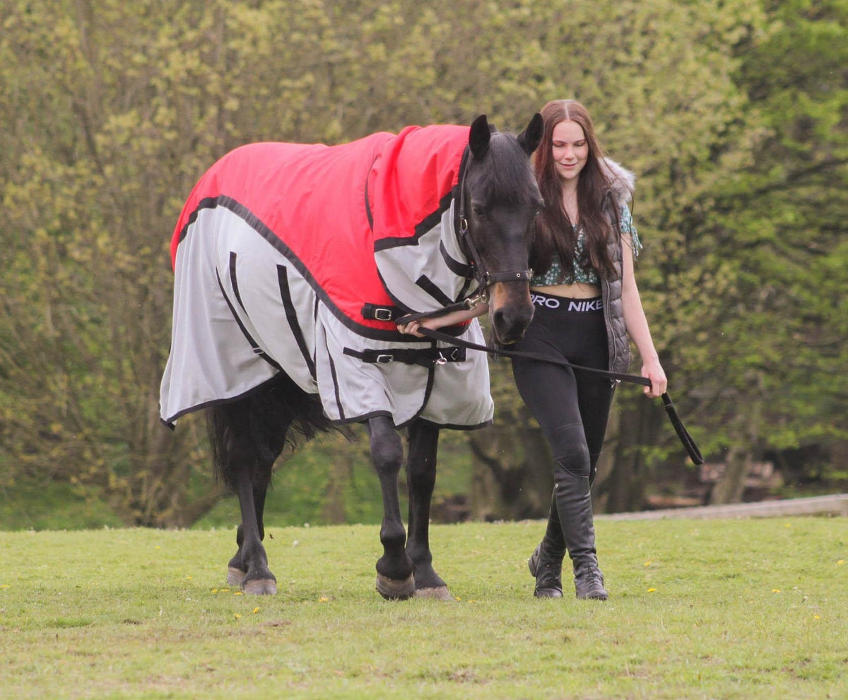 600D 2 in 1 Lightweight Waterproof Fly Turnout Mesh Horse Rug Fixed Neck Red/Grey
