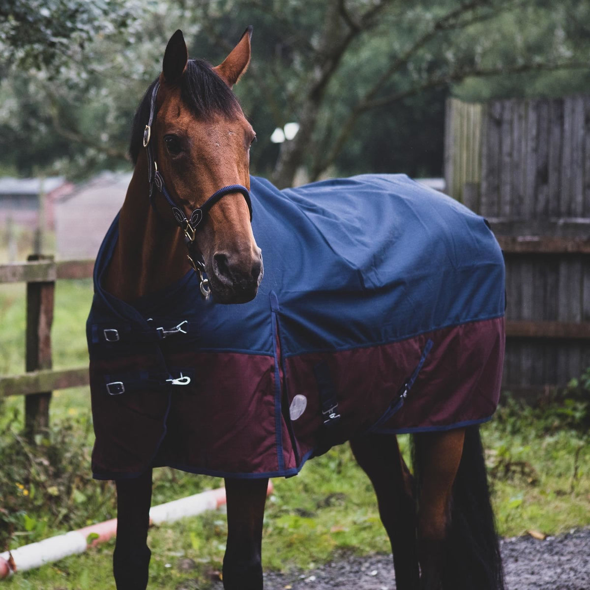 1200D Lightweight Waterproof Horse Turnout Rug 0g No Fill Standard Neck Navy/Burgundy