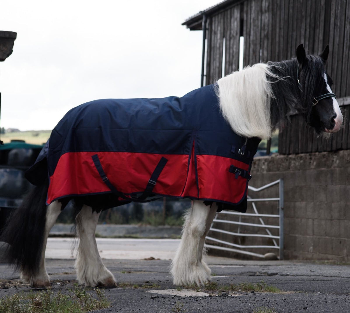 1200D Mediumweight Waterproof Horse Turnout Rug 50g Fill Standard Neck Navy/Red