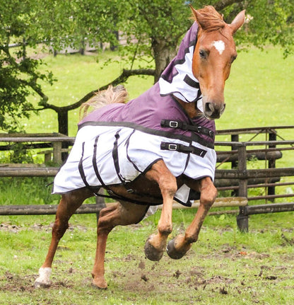 600D 2 in 1 Lightweight Waterproof Fly Turnout Mesh Horse Rug Fixed Neck Burgundy/White