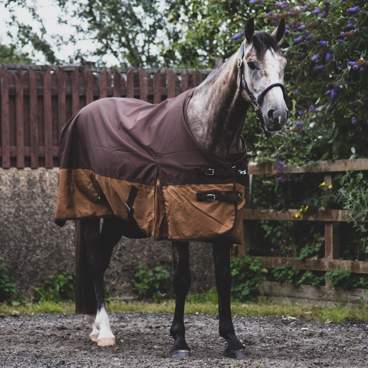 1200D Lightweight Waterproof Horse Turnout Rug 0g No Fill Standard Neck Dark Brown/Light Brown