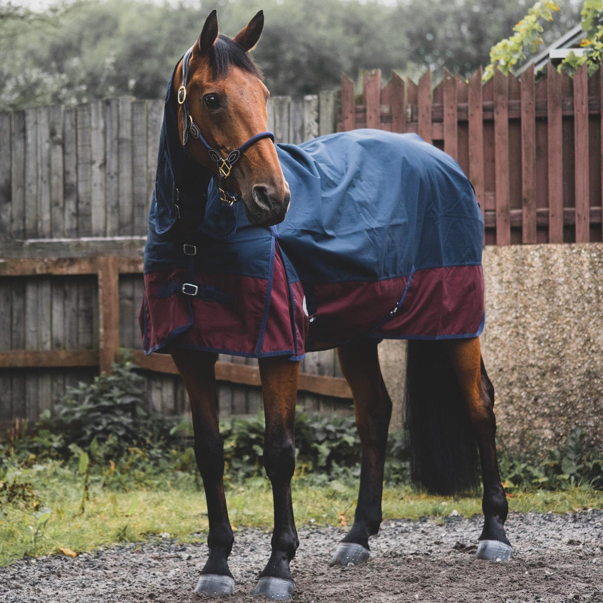 600D Mediumweight Waterproof Horse Turnout Rug 50g Fill Combo Full Neck Navy/Burgundy