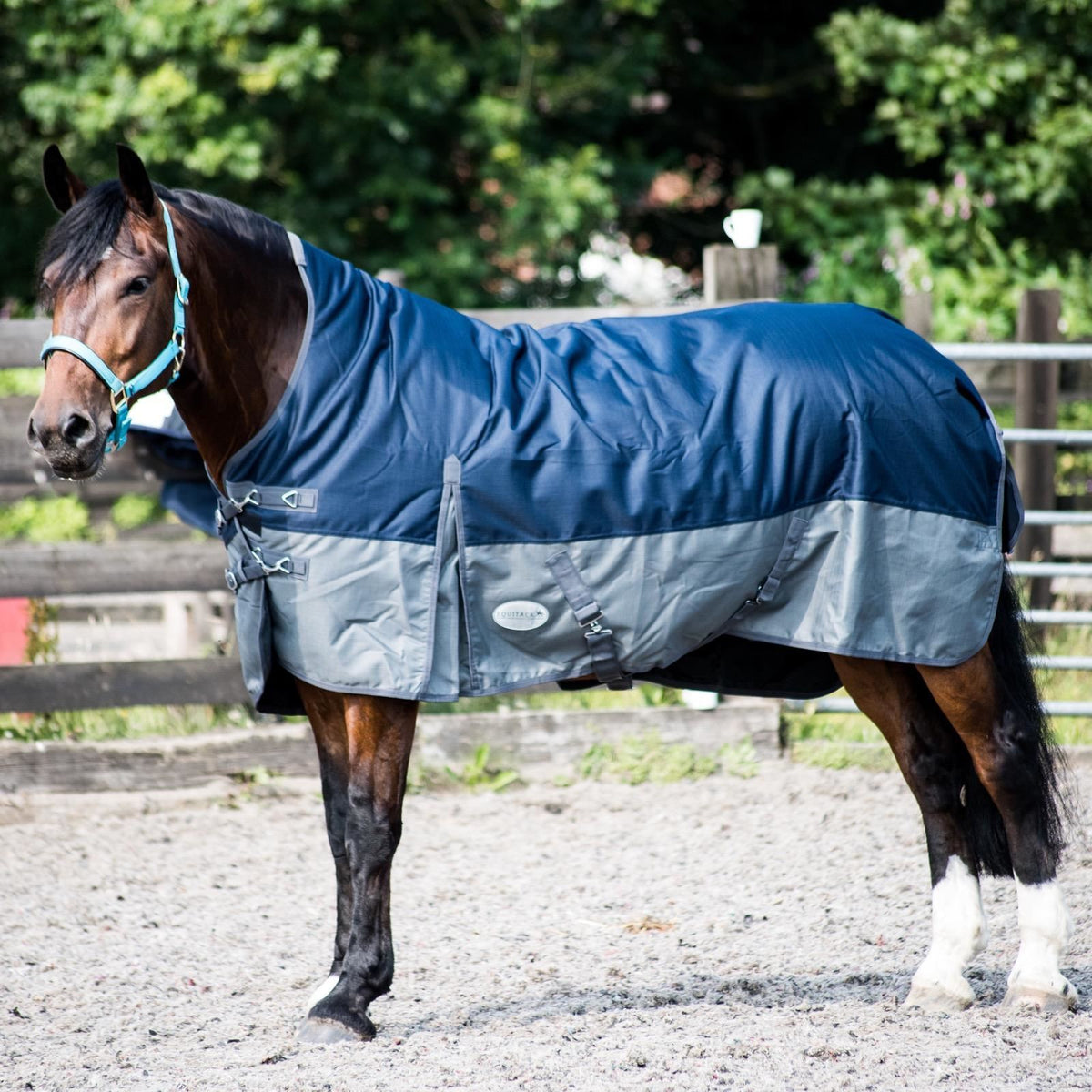 600D Lightweight Waterproof Horse Turnout Rug 0g No Fill Half Neck Fleece Lining Navy/Grey