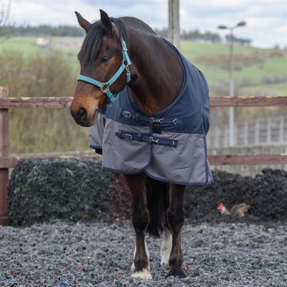 600D Mediumweight Waterproof Horse Turnout Rug 100g Fill Standard Neck Navy/Grey