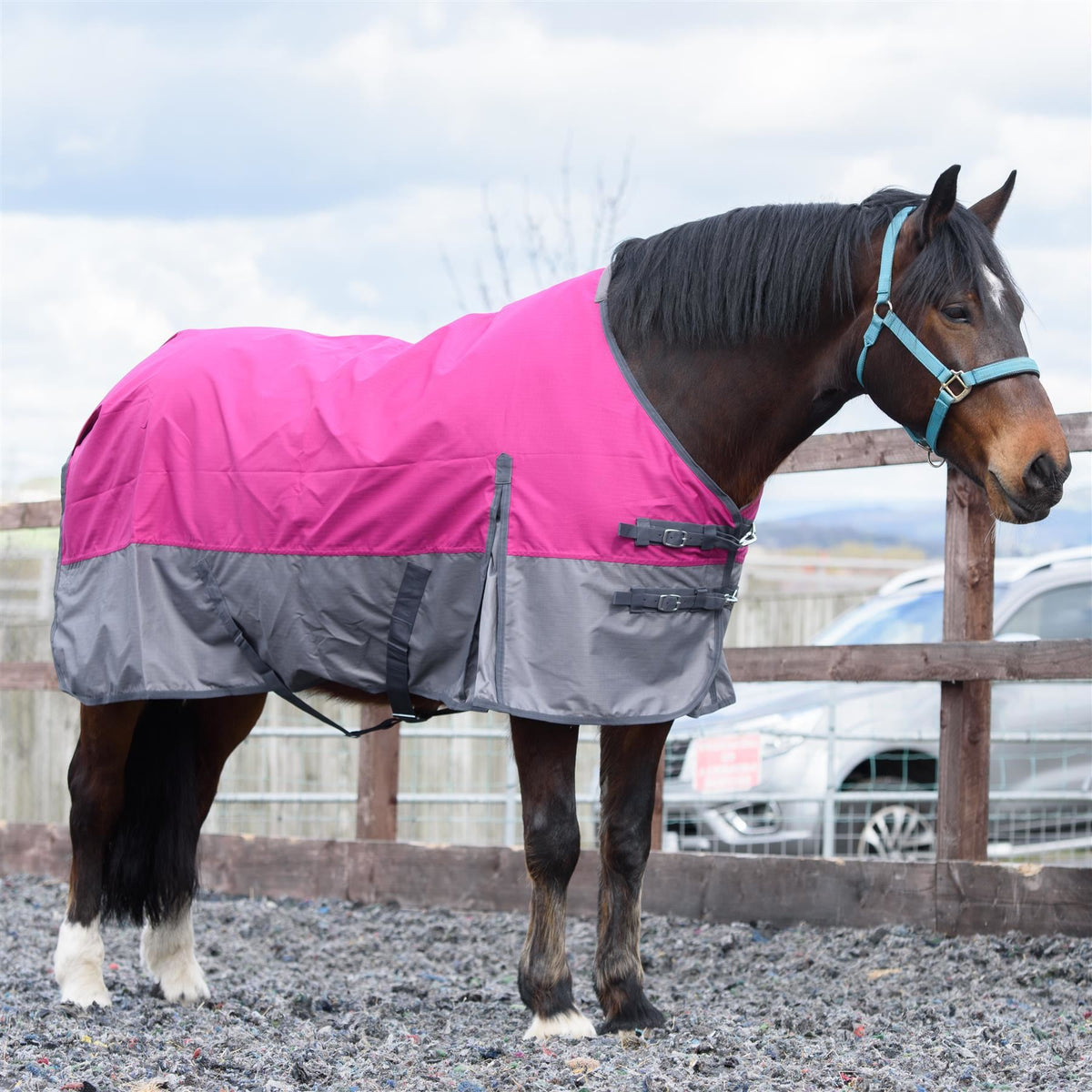 600D Mediumweight Waterproof Horse Turnout Rug 100g Fill Standard Neck Raspberry/Grey