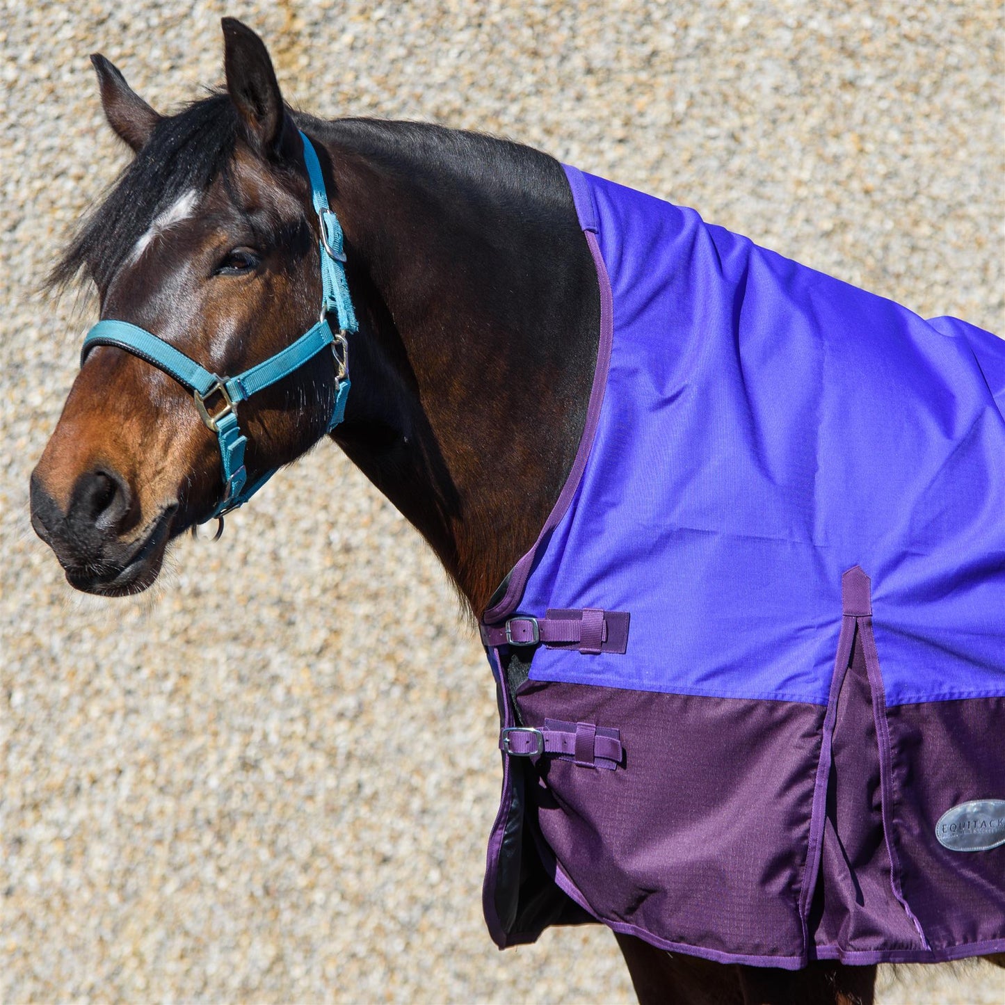 600D Lightweight Waterproof Horse Turnout Rug 0g No Fill Half Neck Purple/Plum