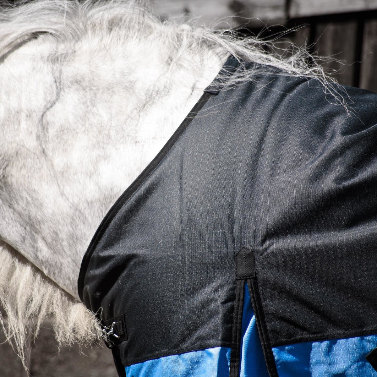 1200D Mediumweight Waterproof Horse Turnout Rug 100g Fill Standard Neck Black/Baby Blue