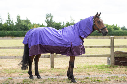 600D Mediumweight Waterproof Horse Turnout Rug 100g Fill Combo Full Neck Purple/Plum