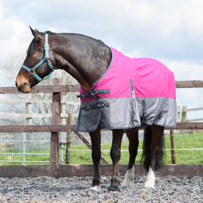 600D Mediumweight Waterproof Horse Turnout Rug 100g Fill Standard Neck Raspberry/Grey