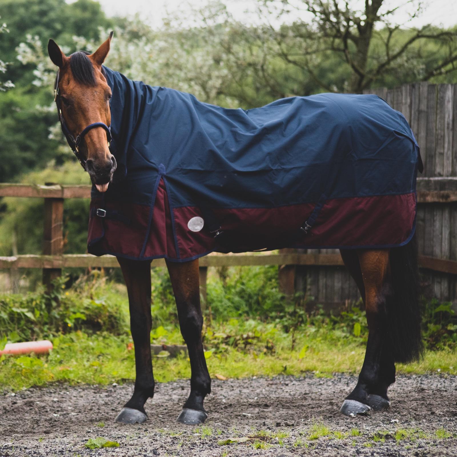 600D Mediumweight Waterproof Horse Turnout Rug 50g Fill Combo Full Neck Navy/Burgundy