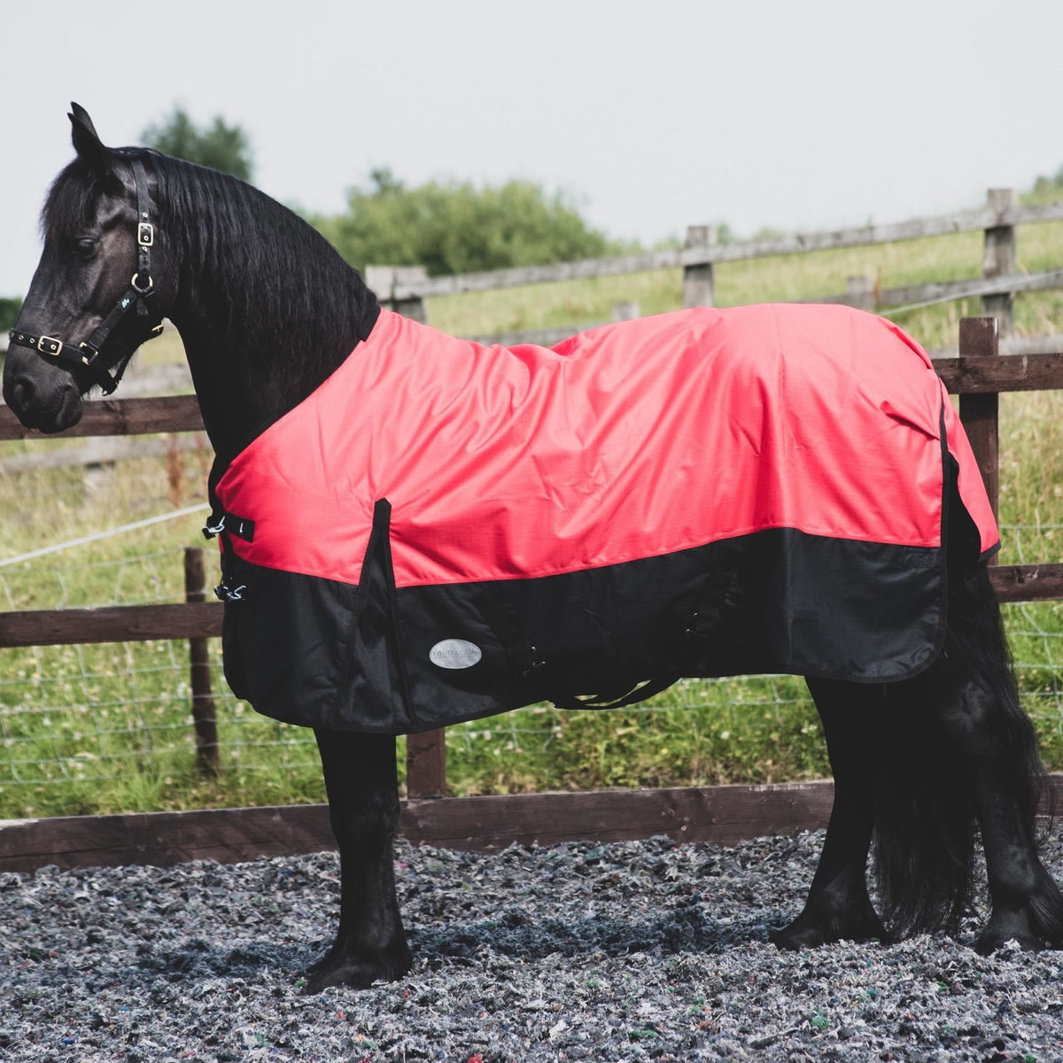 1200D Mediumweight Waterproof Horse Turnout Rug 100g Fill Standard Neck Red/Black