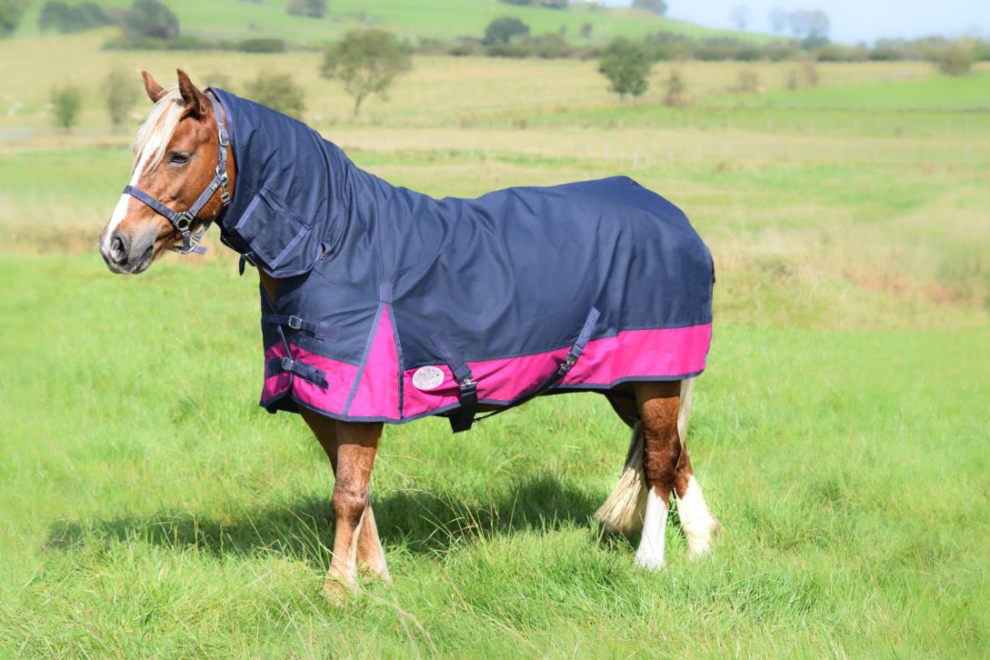 600D Lightweight Waterproof Horse Turnout Rug 0g No Fill Combo Full Neck Navy/Raspberry