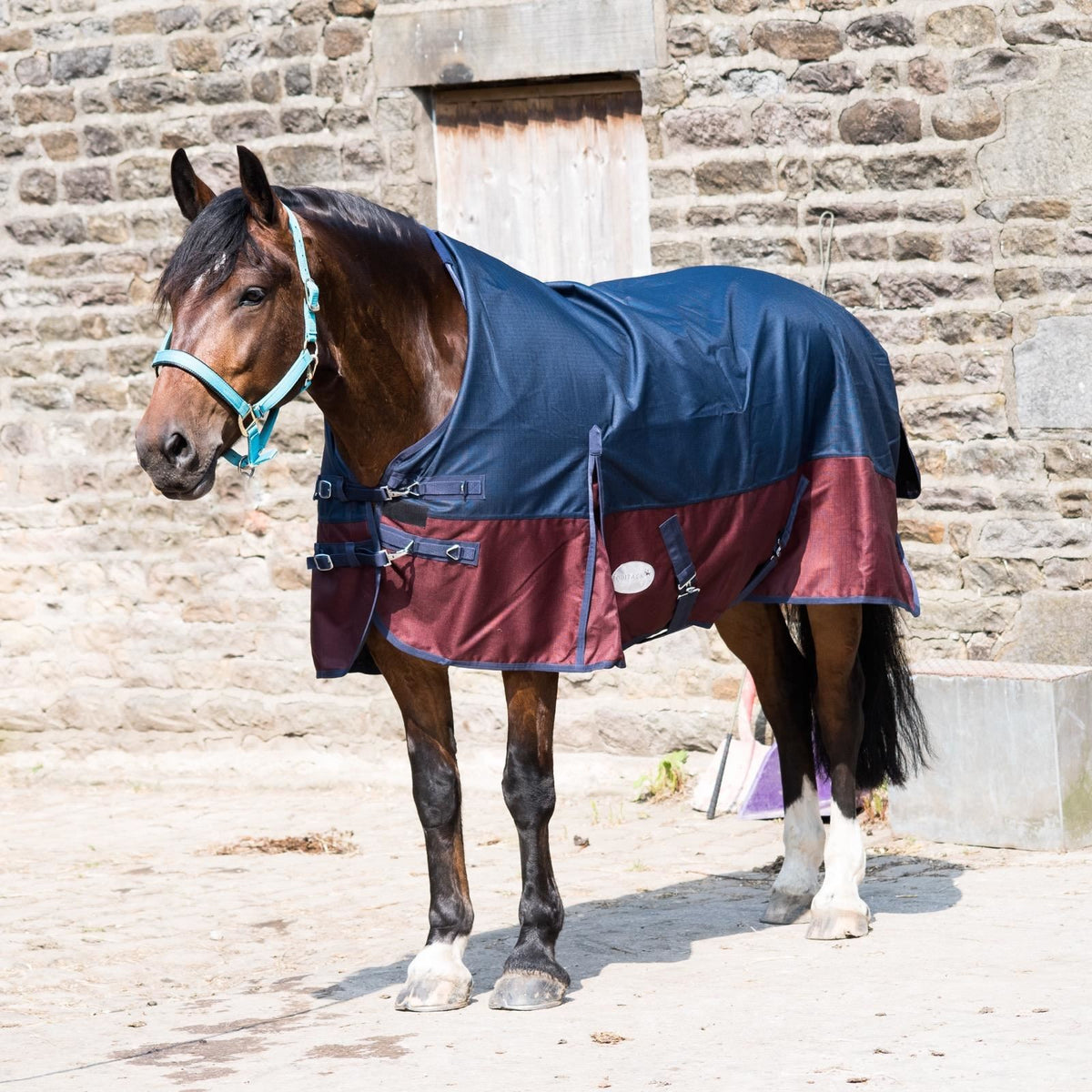 600D Lightweight Waterproof Horse Turnout Rug 0g No Fill Half Neck Navy/Maroon