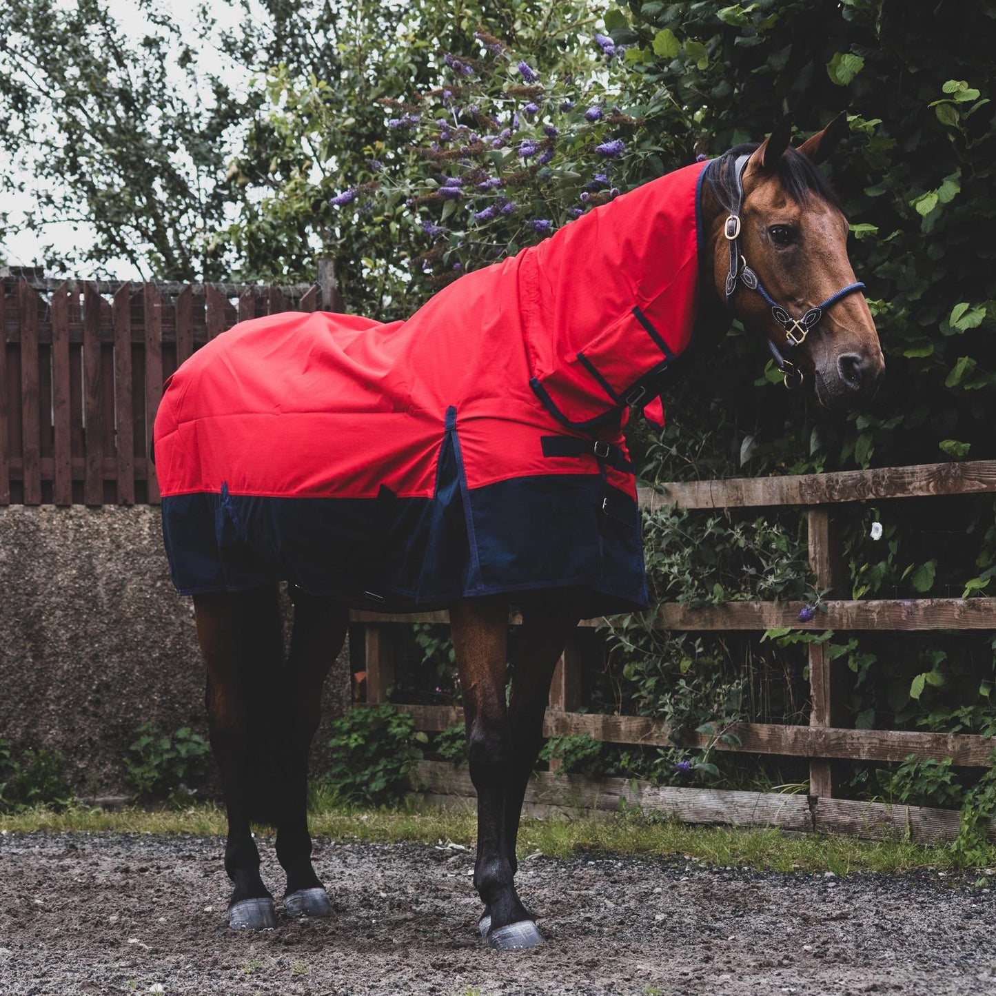 1200D Mediumweight Waterproof Horse Turnout Rug 50g Fill Combo Full Neck Red/Navy
