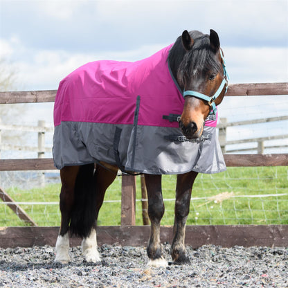 600D Mediumweight Waterproof Horse Turnout Rug 100g Fill Standard Neck Raspberry/Grey
