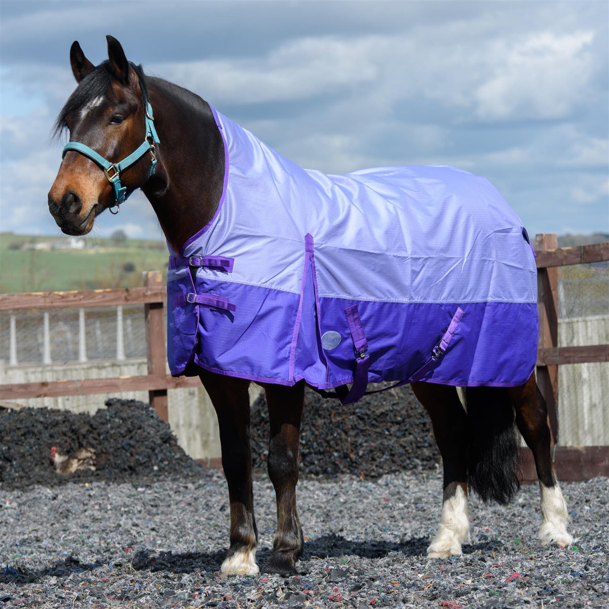 600D Lightweight Waterproof Horse Turnout Rug 0g No Fill Half Neck Lavender/Purple