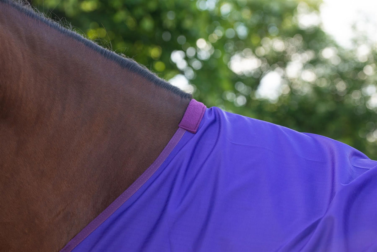 600D Mediumweight Waterproof Horse Turnout Rug 100g Fill Standard Neck Purple/Plum