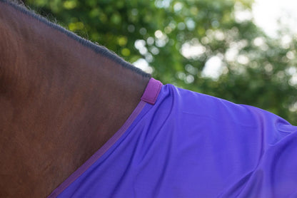 600D Mediumweight Waterproof Horse Turnout Rug 100g Fill Standard Neck Purple/Plum