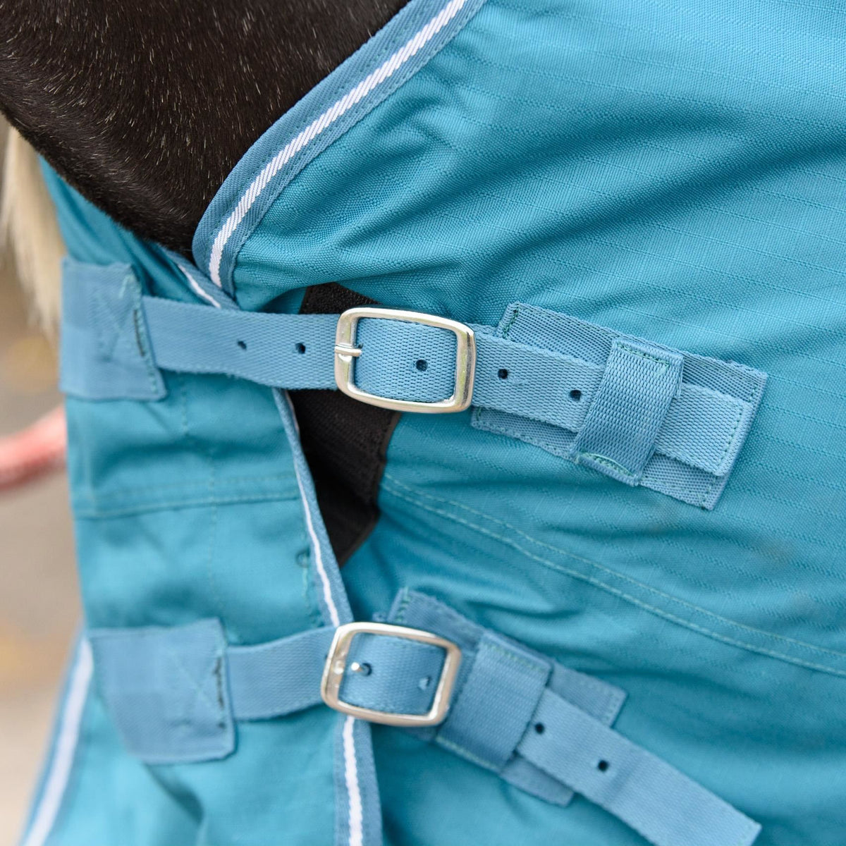 600D Mediumweight Waterproof Horse Turnout Rug 50g Fill Half Neck Turquoise