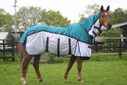 600D 2 in 1 Lightweight Waterproof Fly Turnout Mesh Horse Rug Fixed Neck Petrol/White