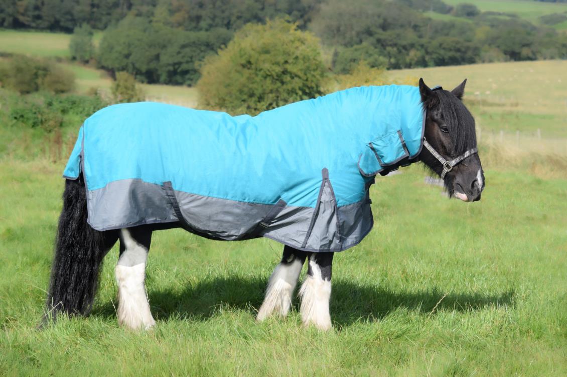 600D Mediumweight Waterproof Horse Turnout Rug 100g Fill Combo Full Neck Aqua/Dark Grey
