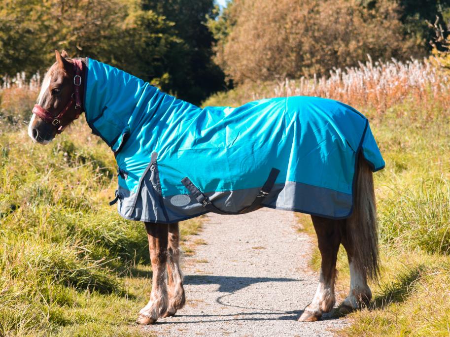 600D Mediumweight Waterproof Horse Turnout Rug 50g Fill Combo Full Neck Aqua/Dark Grey