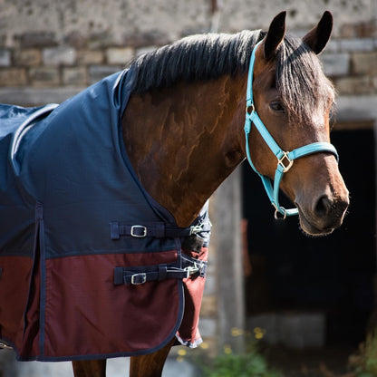 600D Lightweight Waterproof Horse Turnout Rug 0g No Fill Half Neck Navy/Maroon