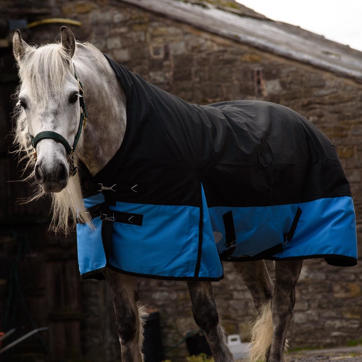 1200D Mediumweight Waterproof Horse Turnout Rug 100g Fill Half Neck Black/Baby Blue
